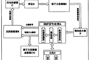 原子力声学显微镜悬臂梁接触谐振频率检测系统