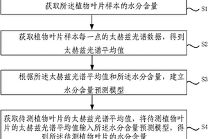 基于太赫兹波的植物叶片含水量检测方法和系统