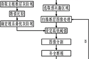 基于CT的苗钵根系结构形态检测方法