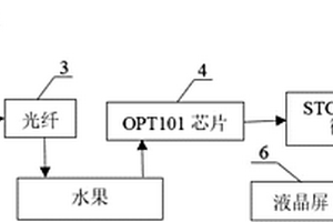 水果虫害检测装置