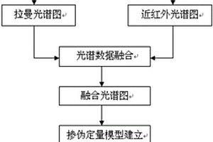 基于多源光谱数据融合的花生油掺伪定量检测方法