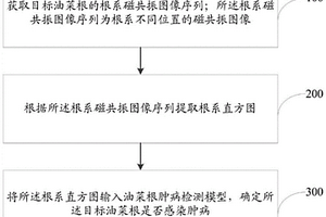 油菜根肿病检测方法、系统、电子设备及存储介质