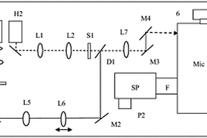 光镊-拉曼光谱单粒子检测仪光学系统