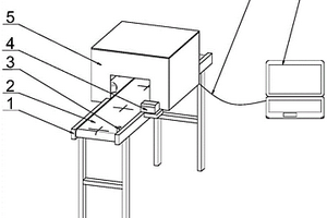 苹果表面缺陷自动检测装置