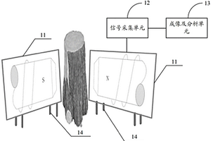 树木年轮检测分析系统