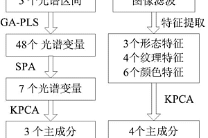 检测叶菜类作物冠层水分含量的方法