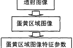 基于计算机视觉的双黄鸭蛋自动识别检测方法