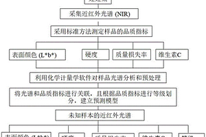 基于近红外光谱检测娃娃菜品质的方法