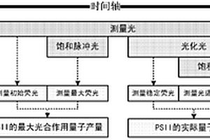 基于荧光法的水体藻类光合作用活性原位检测装置及方法