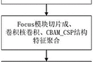 设施番茄叶部病斑检测方法及靶向喷药装置