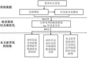 对叶表结构不敏感的叶绿素含量的检测方法