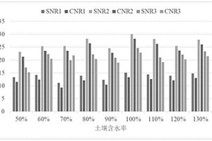 基于低场磁共振技术对油菜根系的检测方法