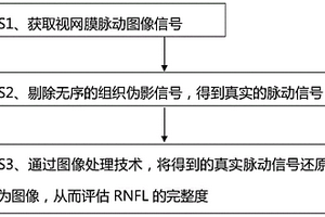 基于眼底脉动信号评估RNFL完整度的方法及检测装置