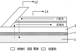 基于等离激元效应波导的实时生物检测装置及制备方法