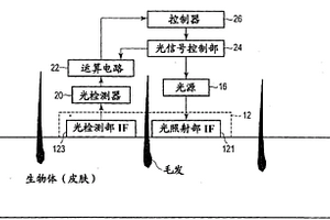 生物体检查装置和生物体检查方法