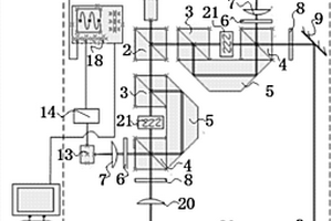 基于双测量光束的激光声表面波探测系统及其使用方法