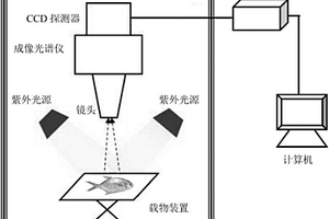 水产品化学污染物的无损实时检测方法与装置