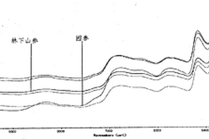 用近红外光谱技术识别不同生长方式人参及对人参中组分含量测定的方法
