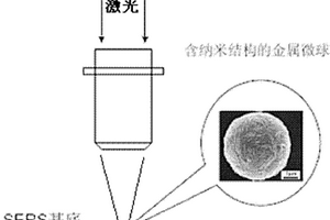 基于表面增强拉曼光谱探测痕量生物分子电离辐射分解反应的方法