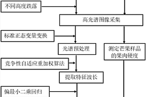 基于高光谱的芒果冲击损伤后硬度预测方法