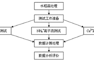 基于非损伤微测技术的水稻生理性青枯病评价方法