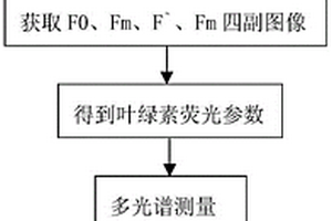 基于叶绿素荧光和多光谱图像的植物生理监测方法