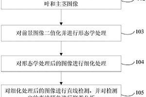 测量水稻剑叶角度的方法、装置及系统