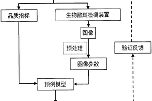 基于生物散斑技术无损检测苹果内部品质的方法