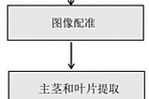 基于三维点云图像的马尾松部分表型参数自动测量方法