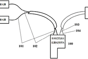 基于双波长拉曼光谱的手持式番茄红素无损检测装置