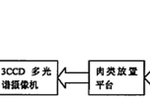 多光谱肉类新鲜度人工智能测量方法及系统