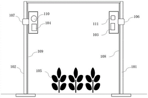 植株高度测量装置及方法