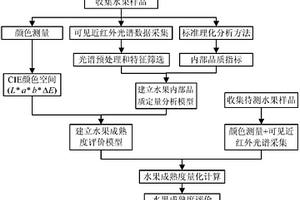 基于光谱和颜色测量的水果成熟度评价方法