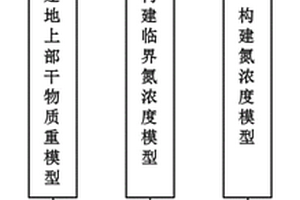 基于高光谱的水稻穗期氮营养监测与诊断方法及应用