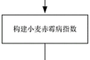 基于麦穗尺度分析的冬小麦赤霉病高光谱遥感监测方法