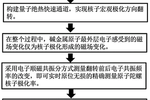 基于绝热快速通道的原子自旋陀螺仪测量核子极化率方法