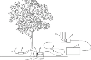 测定土壤呼吸及碳同位素的装置和方法