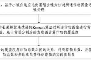 基于机器视觉的作物实时耗水量监测方法和装置