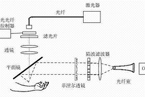 便携式拉曼光谱无创伤血糖仪