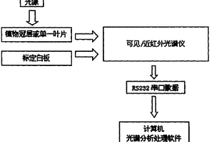 可见和近红外光谱的植物叶片或冠层灰霉病诊断系统