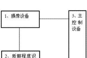 鱼体新鲜程度识别系统