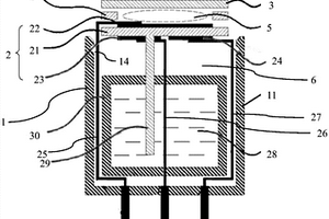 氢气传感器