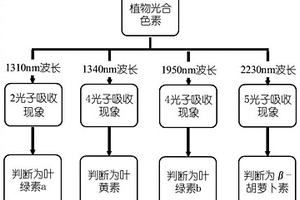 植物中光合色素种类的识别方法