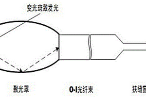 超微量Raman-Stokes散射光传感器