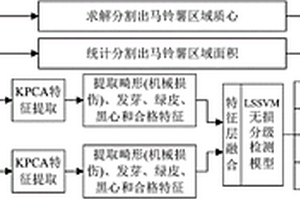 基于多特征融合的马铃薯高速无损分级检测方法及系统