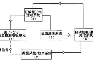 利用分子离子谱评价抽油杆环境耐用性的方法