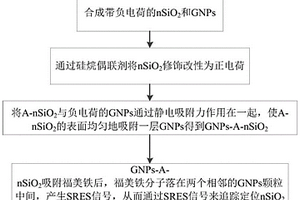 纳米农药拉曼探针、制备方法及其应用