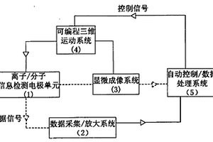 利用分子离子谱评价涂料耐腐蚀性的方法