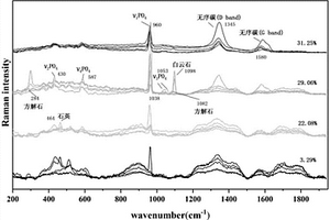 基于拉曼光谱和PCA-HCA的不同品位磷矿的鉴别和分类方法