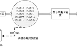 基于风味分析的马铃薯全粉快速鉴别方法